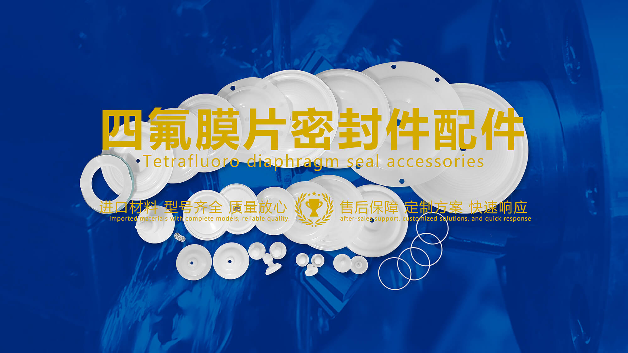 四氟膜片密封件配件 (1) 四氟膜片密封件配件 (1)