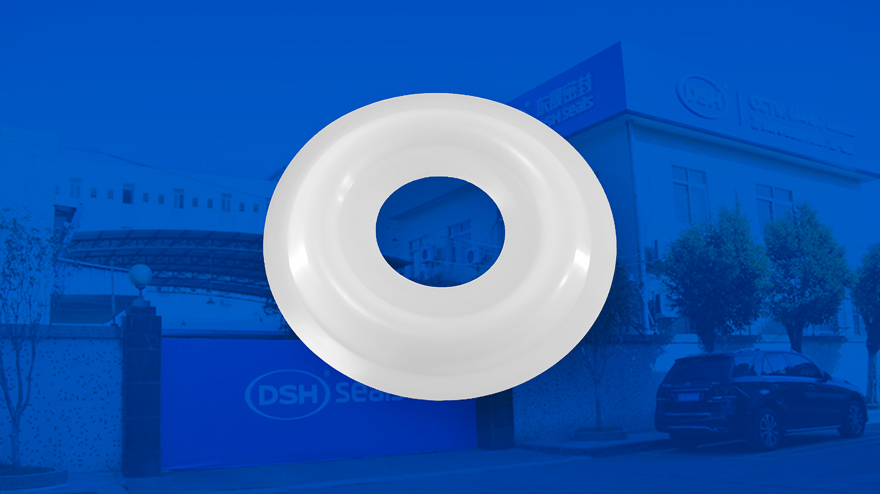 米頓羅計(jì)量泵膜片 （又叫隔膜、密封件、密封圈、油封） (2)