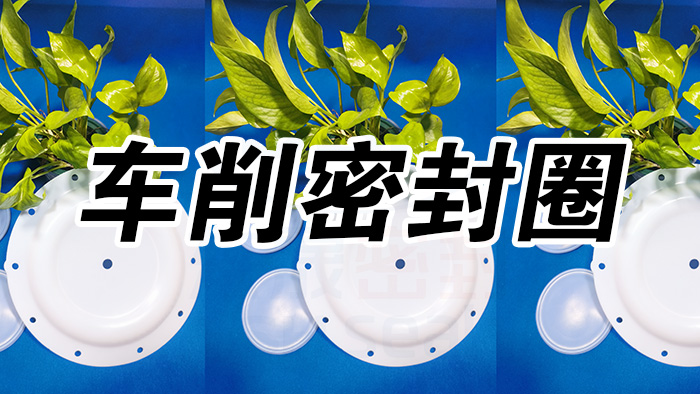 2車削密封圈，氣動隔膜泵膜片密封件